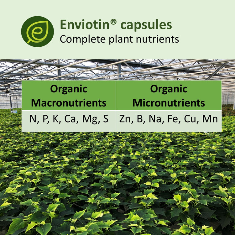 ENVIOTIN Plant Health Booster Capsules (100 capsules/bottle)